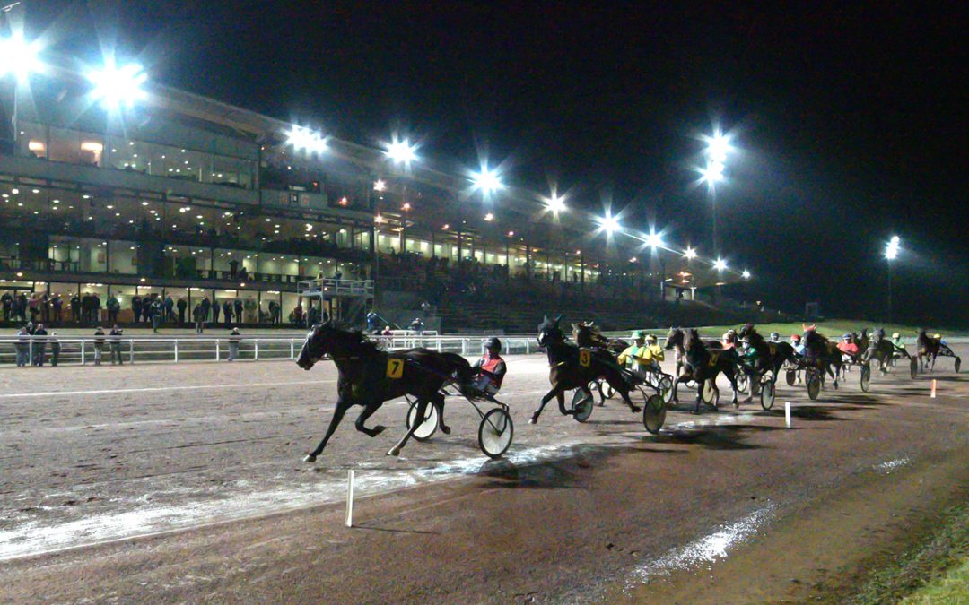 Les partants de vendredi soir sont en ligne !