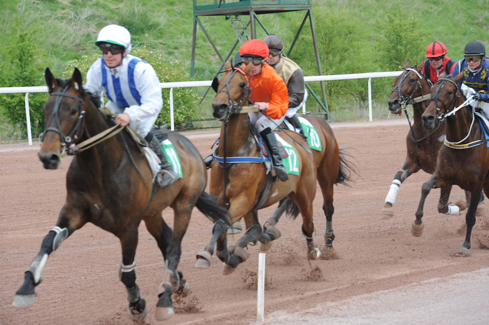 Le programme de la course du 9 juin est en ligne !