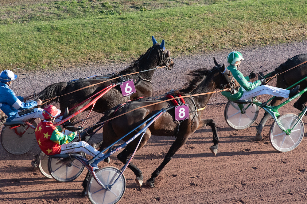 Le programme du GNT est en ligne (21 novembre 2018)
