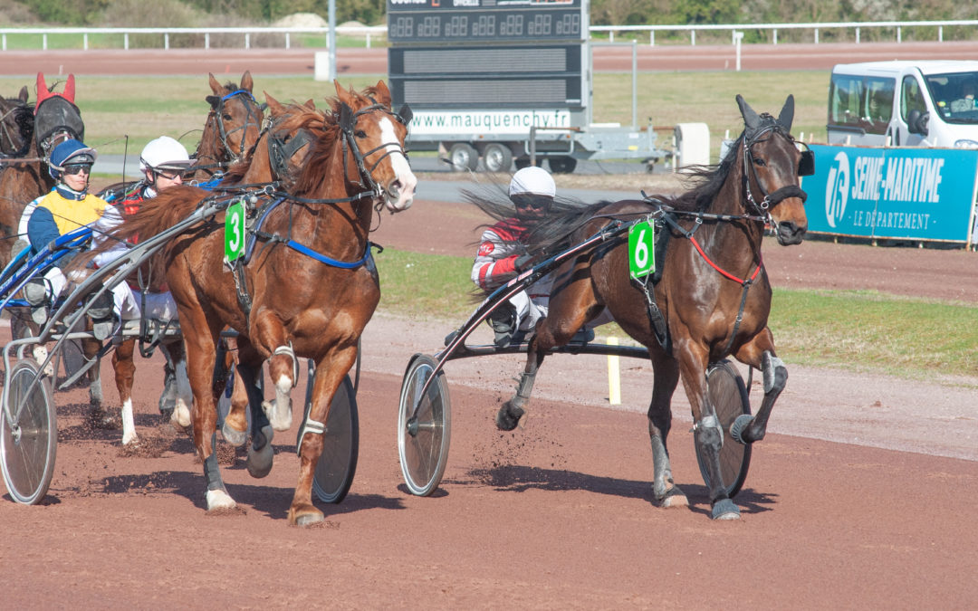 RETROUVEZ LES PHOTOS DU 04 AVRIL 2019
